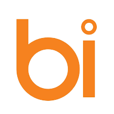BI Sistemləri-logo